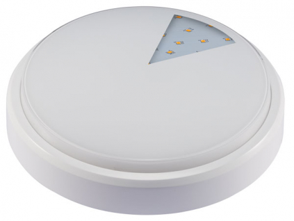 LED stropní světlo LUCY-R white 12W denní bílá