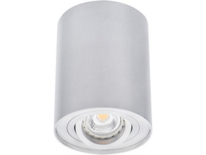 Stříbrné podhledové LED svítidlo 10W výklopné denní bílá