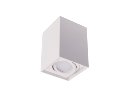 Přisazené bodové svítidlo GORD XS DLP-50-W bílé