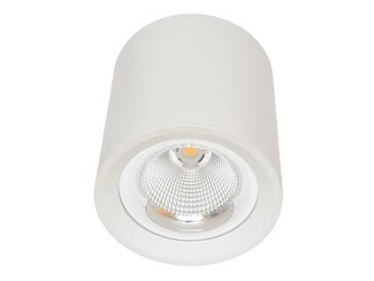 811 0MZ DL 30W web