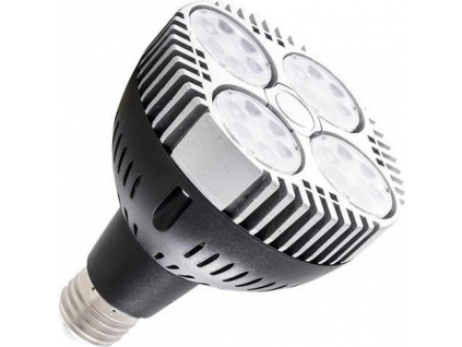 LED žárovka E27 PAR30 SR35 24 teplá bílá