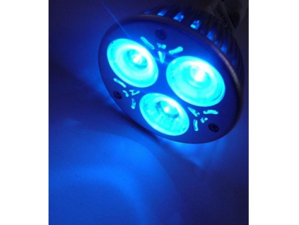 Barevná LED žárovka MR16 / GU5,3 modrá