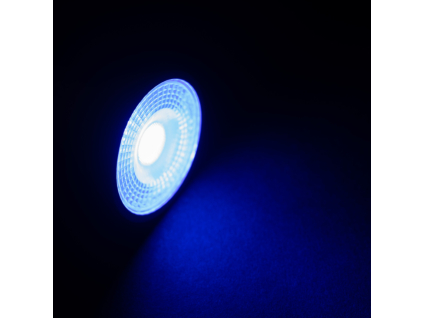 blue mr16