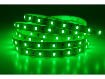 LED pásek zelená (Napětí 12V DC, Stupeň krytí IP20 - vnitřní, Výkon 4,8W/m)