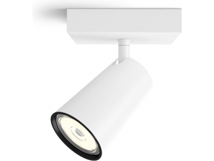 Philips LED bodove přisazené svítidlo GU10 10W denní bílá bílé Paisley 50571/31/PN