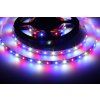 LED pásek AKVA pro akvária (Napětí 12V DC, Stupeň krytí IP20 - vnitřní, Výkon 12W/m)