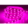 100667 chatgpt image 9 7 2025 10 15 10