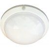 101526 stropni svitidlo s cidlem bile ip44 max 60w