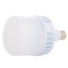 102207 17 led zarovka e27 30w studena bila