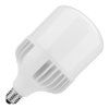 102207 led zarovka e27 30w studena bila