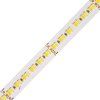102426 8 led pasek 24w m cct 24cct24024 24v