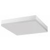 LED světlo stropní SMART-S white (Barva světla Denní bílá, Stmívatelnost Nestmívatelný, Výkon 24W)