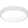 LED světlo stropní LED TAURUS-R white 12W denní bílá