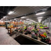 175601 7 175601 7 led prachotesne svitidlo trust led ps 2xt8 60cm bez trubic