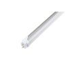LED trubice T8 TP150/140lm 150cm mléčný kryt (Barva světla Denní bílá, Stmívatelnost Nestmívatelný, Výkon 25W)