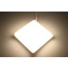 HZ36 LED panelčtverec 228x228mm (Barva světla Teplá bílá, Stmívatelnost Nestmívatelný, Výkon 36W)