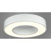 179264 15 bily stropni led panel kruh 48w denni bila