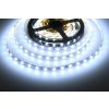 LED pásek SB3 300 studená bílá 12W/m 12V