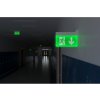 PIKTOGRAM EUROPA LED šipka dolu 265x145mm
