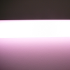 189003 ebt pink