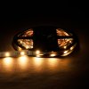 LED pásek 12,5W/m 24RGB+CCT záruka 3 roky