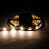 189279 4 led pasek 12 5w m 24rgb cct zaruka 3 roky
