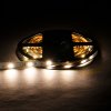 LED pásek 12,5W/m 24RGB+CCT záruka 3 roky