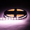 189282 4 led pasek 20w m 24rgbcct5v1 zaruka 3 roky