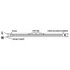 214197 2 20ks led trubice t8 120cm 18w 4000k denni bila starter