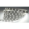 214532 5 ledsviti pasek 12w m vnitrni denni bila 12v