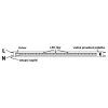 216673 3 25ks led trubice t8 120cm 18w 4000k denni bila starter