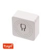 281601 smart wifi tuya switch spinac wt2