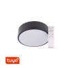SMART Tuya LED svítidlo RENDO kulaté černé (Barva světla CCT Smart, Stmívatelnost Stmívatelný, Výkon 24W)