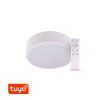 SMART Tuya LED svítidlo RENDO kulaté bílé (Barva světla CCT Smart, Stmívatelnost Stmívatelný, Výkon 24W)