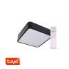 SMART Tuya LED svítidlo RENDO hranaté černé (Barva světla CCT Smart, Stmívatelnost Stmívatelný, Výkon 24W)