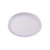 325499 led panel panka 30w cct bile kulate stropni