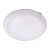 325724 led svitidlo despre 20w cct bile ip65