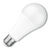 LED žárovka E27 (Barva světla Teplá bílá, Výkon 20W)