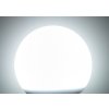 Stmívatelná LED žárovka E27 EV-DIM (Barva světla Teplá bílá, Stmívatelnost Stmívatelný, Výkon 9W)