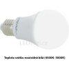 LED žárovka E27 SMD