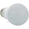 LED žárovka E27 SMD (Barva světla Teplá bílá, Výkon 12W)