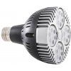 LED žárovka E27 PAR30 SR35 24 (Barva světla Teplá bílá, Výkon 35W)