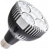 LED žárovka E27 PAR30 SR35 24 studená bílá