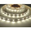 LED pásek vnitřní záruka 5 let 24V