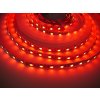 LED pásek 24V RGB4v1-CW 19,2W/m vnitřní
