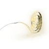 Philips LED pásek 21W 5m Lightstrip teplá bílá 230V 70102/31/P2